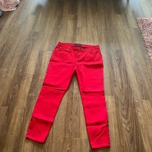 Celebrity Blues | Jeggings | Red | size 14W